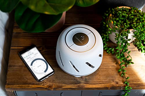 Yogasleep Dohm Connect (White) | White Noise Machine w/ App-Based Controls | Soothing Sounds from a Real Fan | Sleep Timer & Volume Control | Sleep Therapy, Office Privacy, Travel | For Adults & Baby