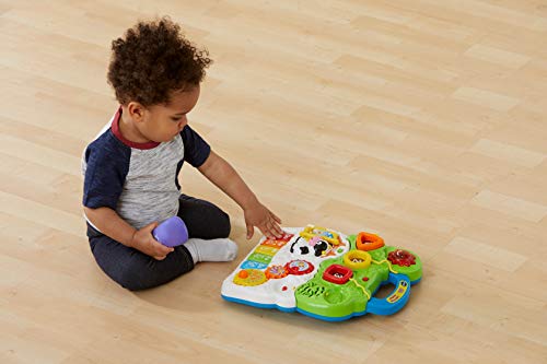 VTech Sit-to-Stand Learning Walker