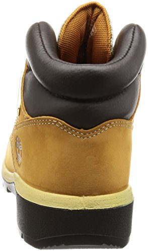 Timberland Men's Field Boot F/L Waterproof