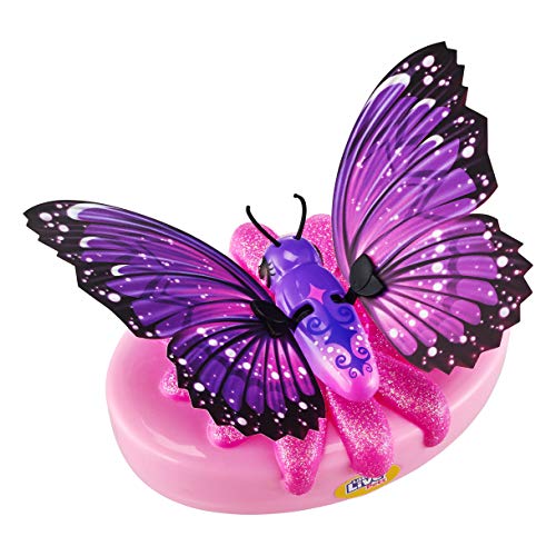 Little Live Pets Lil' Butterfly Single Pack - Rare Wings