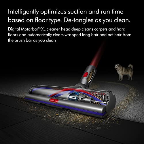 Dyson Outsize Cordless Vacuum Cleaner